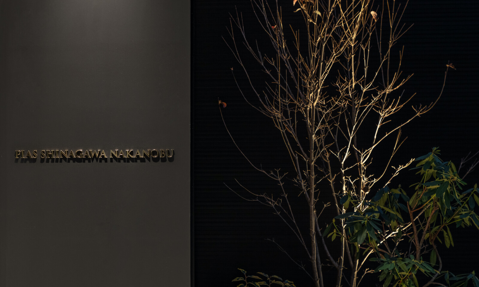 PIAS SHINAGAWA NAKANOBU